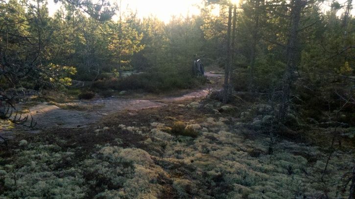 fatbike.gullvik.3.jpg