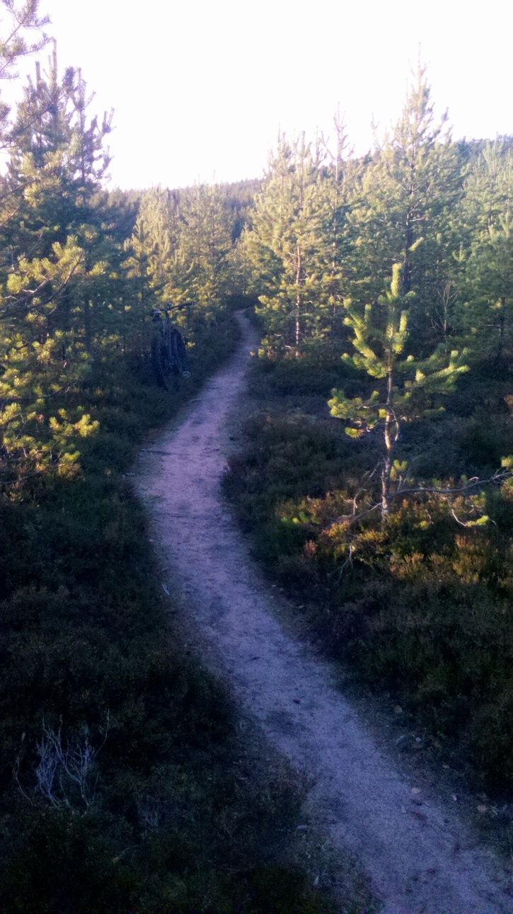 fatbike.gullvik.4.jpg