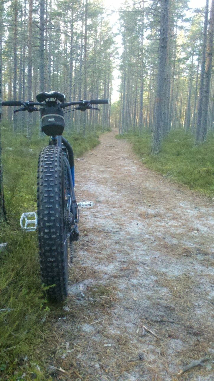fatbike.gullvik.6.jpg