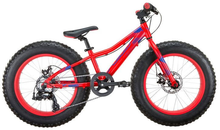 fatbike.jpg