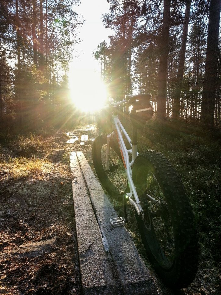 Fatbike_20131124-54-3.jpg