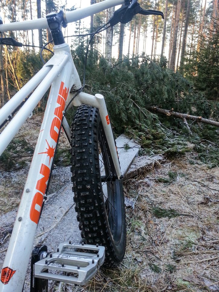 Fatbike_20131124-57-3.jpg