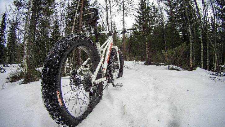 Fatbike_grssjn_20140330-00217.jpg