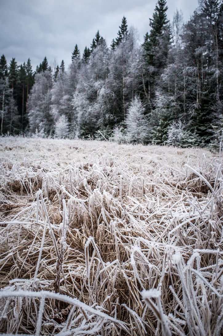 Fatbike_I20_20141130-0644.jpg