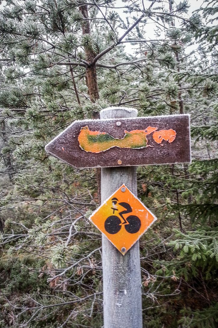 Fatbike_I20_20141130-44.jpg