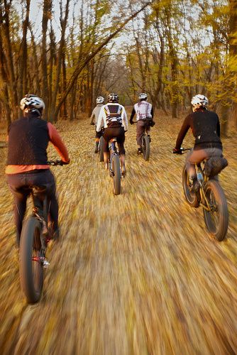 fatbikes_in_the_woods.jpg