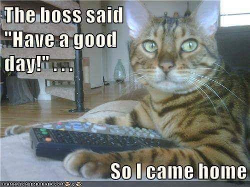 FB_IMG_1464883897268.jpg