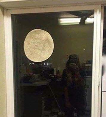 FB_IMG_1479368615918.jpg