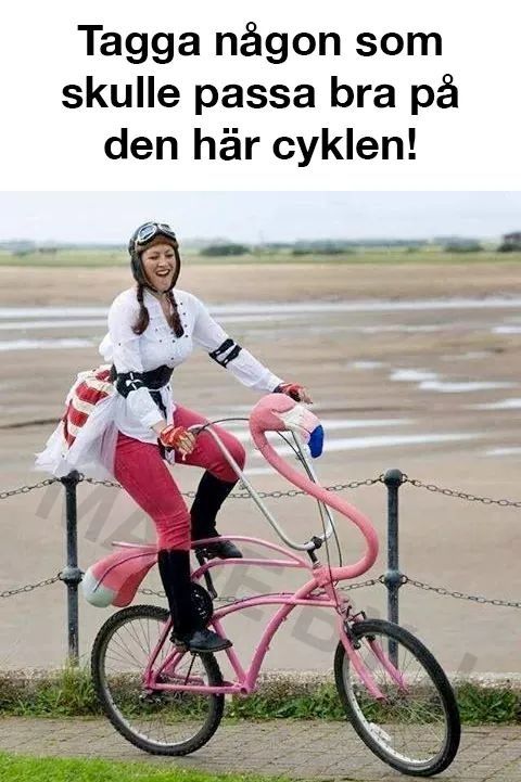 FB_IMG_1557296175640.jpg