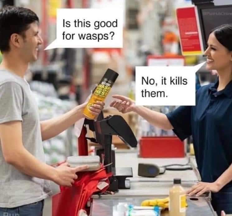 FB_IMG_1607363145411.jpg
