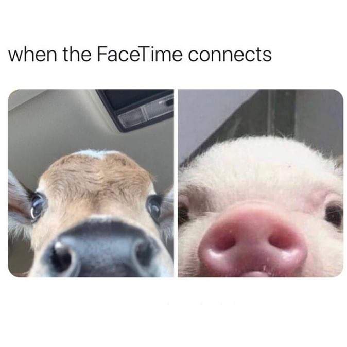FB_IMG_1620990497403.jpg