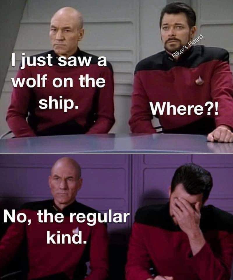 FB_IMG_1636837231248.jpg