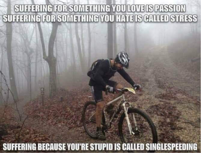 FB_IMG_1653938170372.jpg