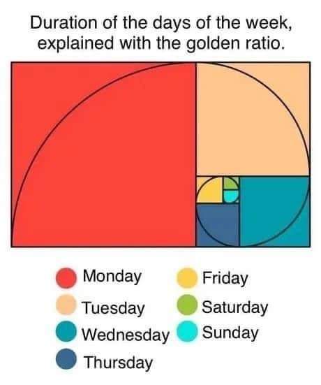 FB_IMG_1659980843695.jpg