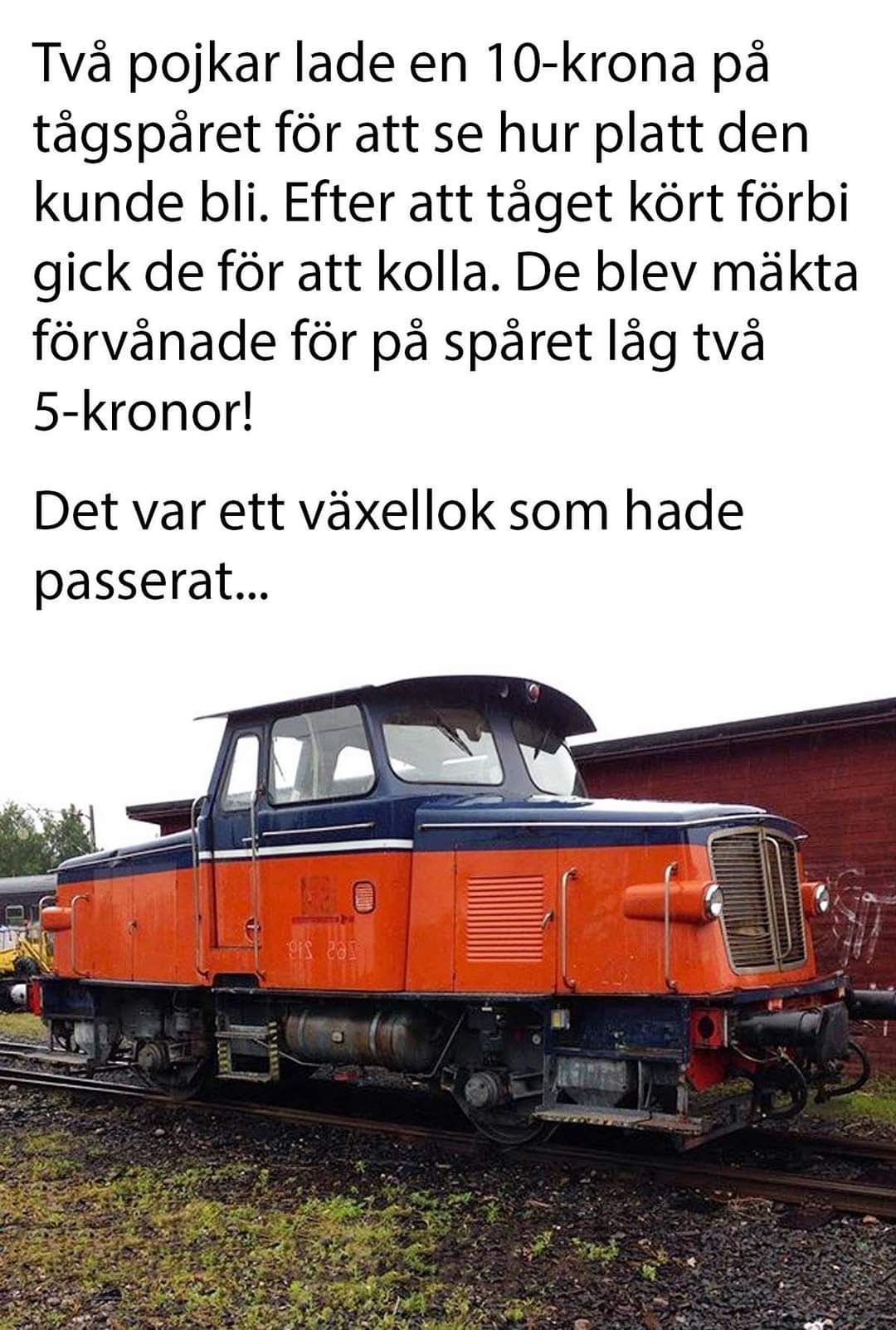 FB_IMG_1668065114110.jpg