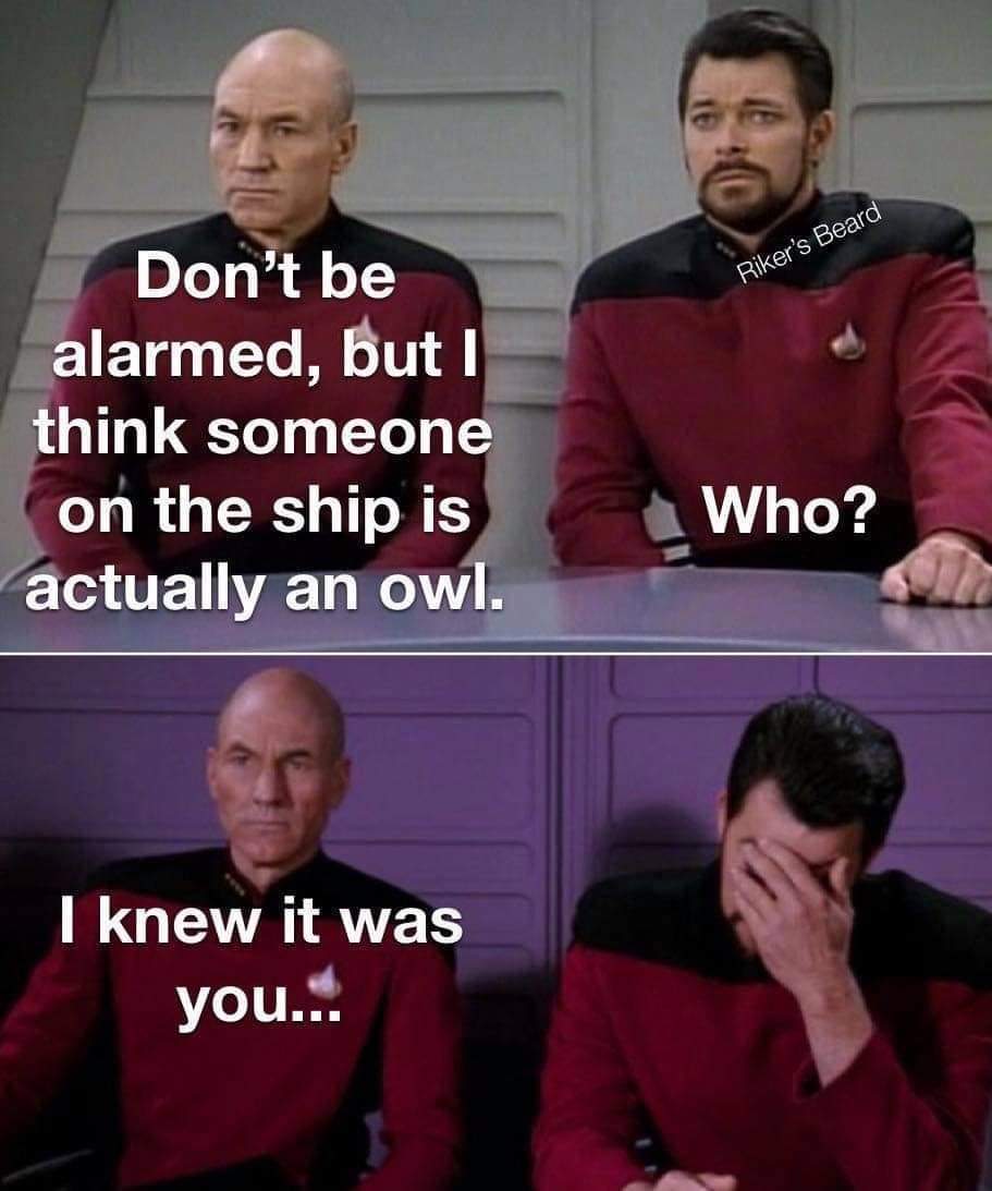 FB_IMG_1677603593642.jpg