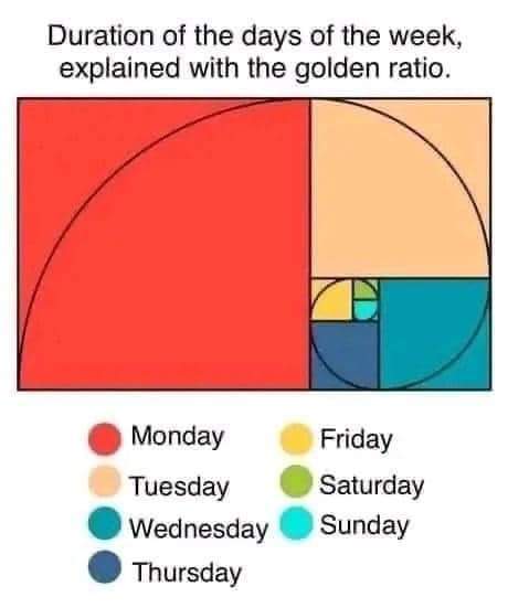 FB_IMG_1683950443851.jpg