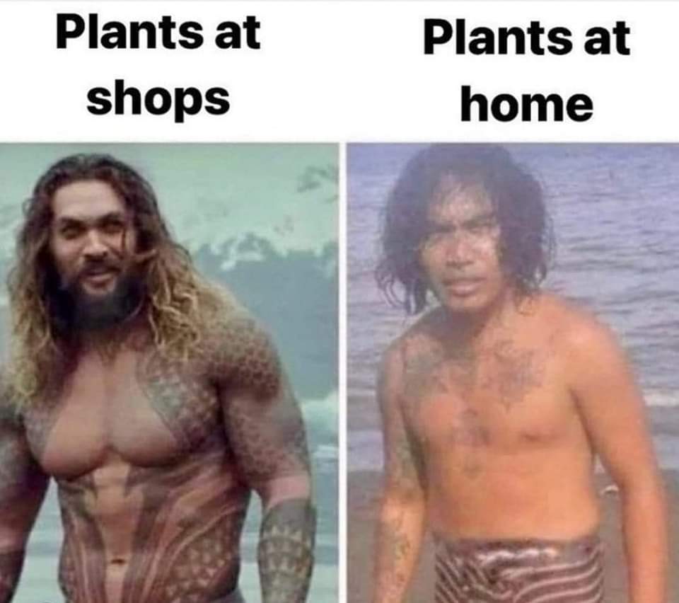 FB_IMG_1697694610451.jpg