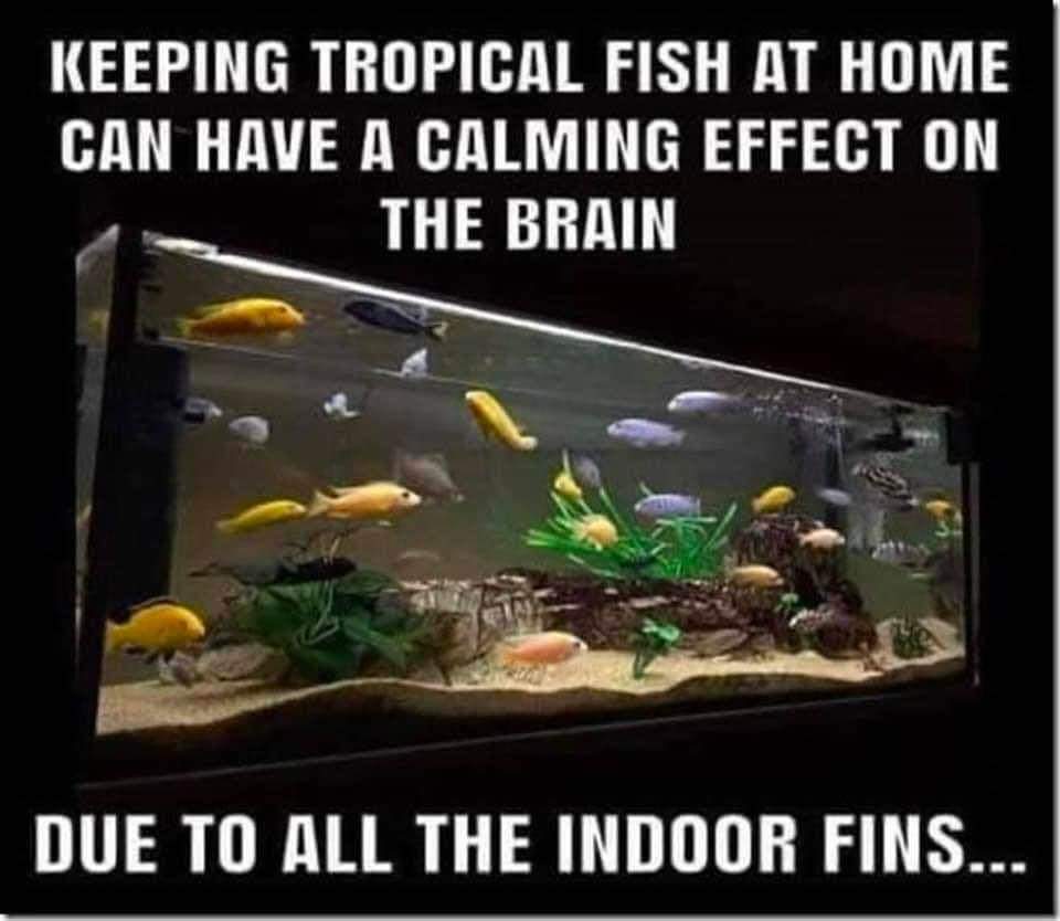 FB_IMG_1701426911384.jpg