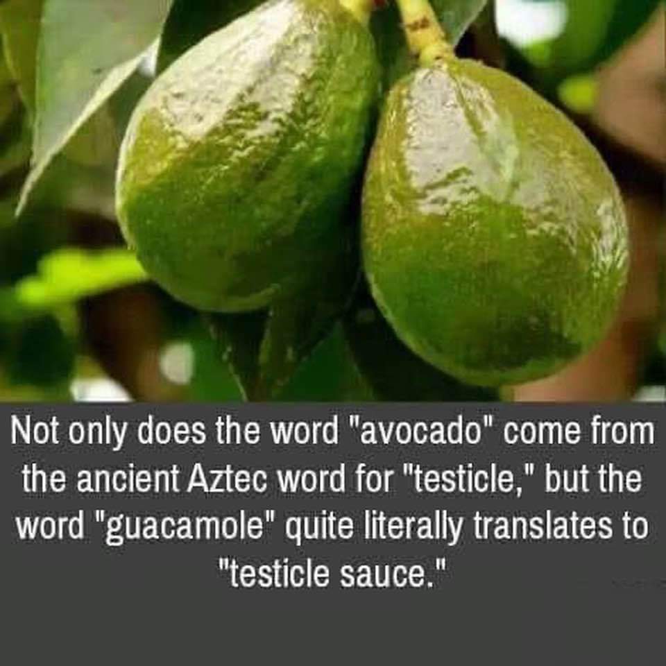 FB_IMG_1704884984465.jpg