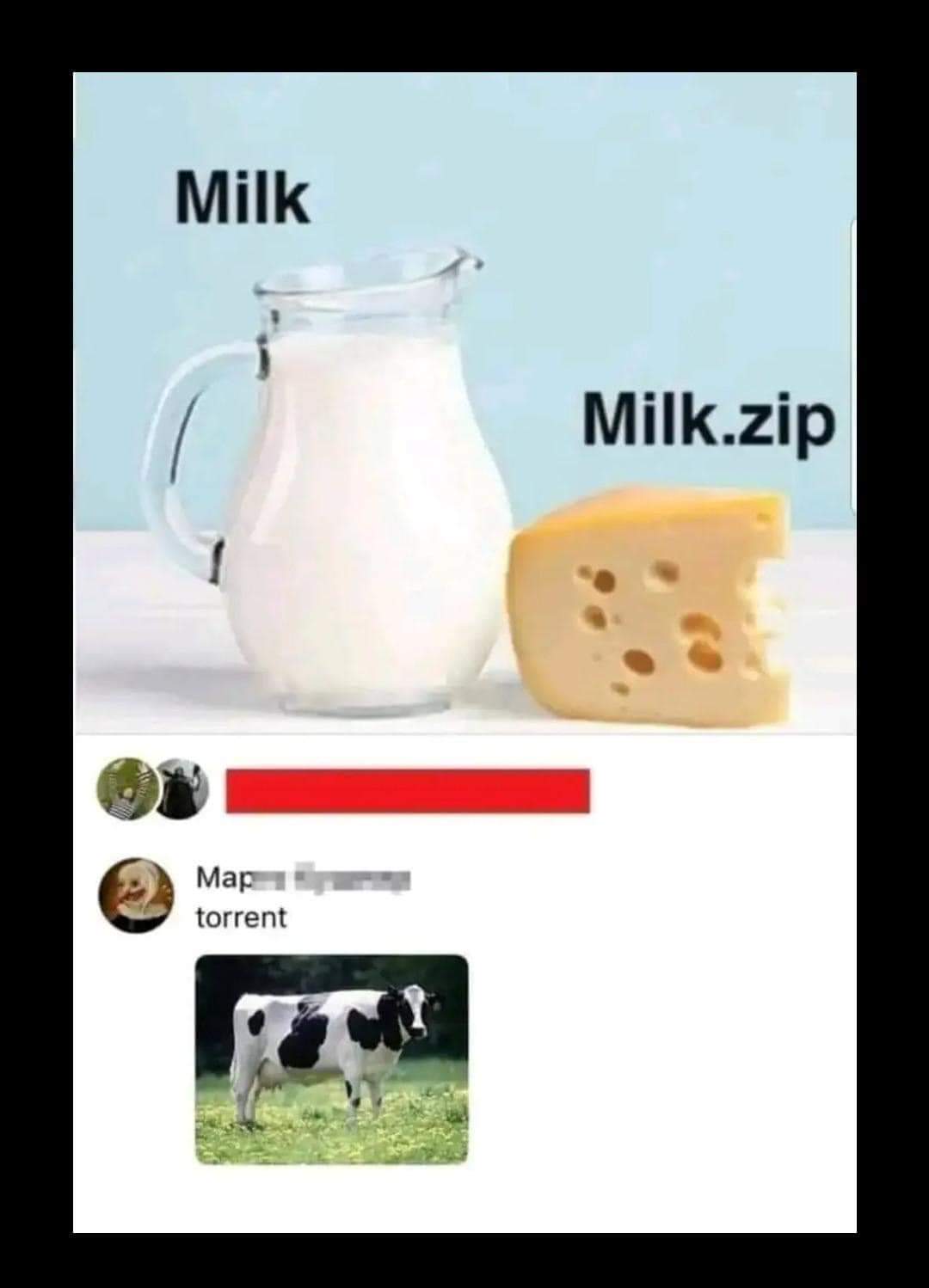 FB_IMG_1705519893787.jpg