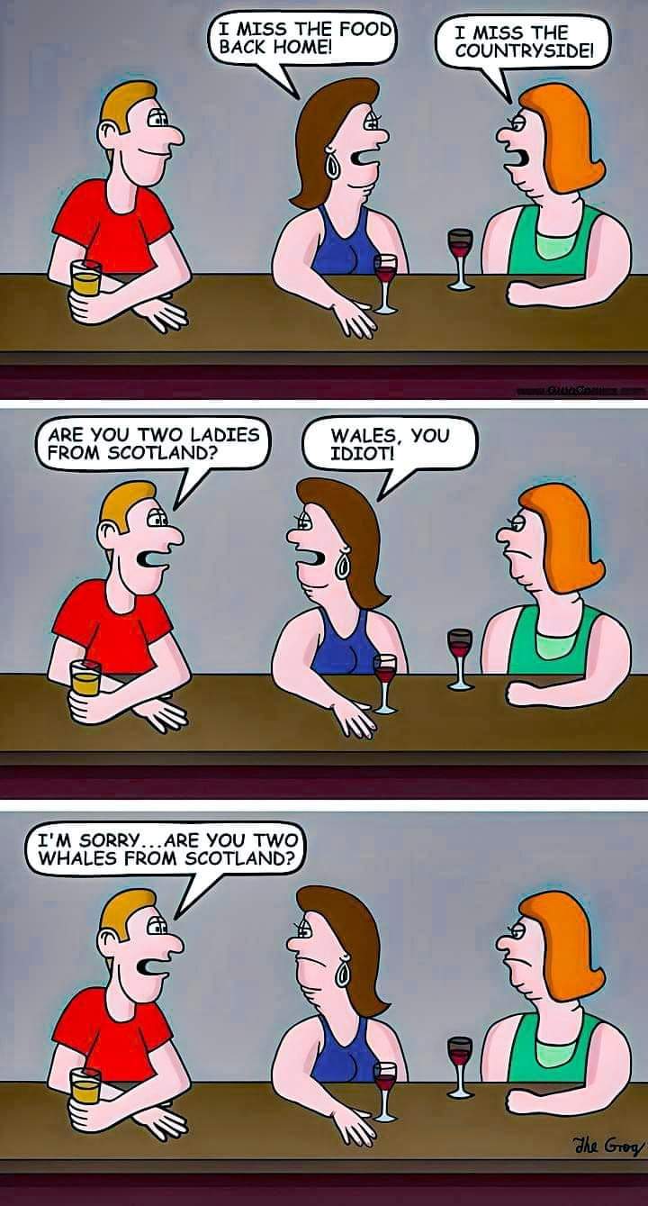 FB_IMG_1723920709389.jpg