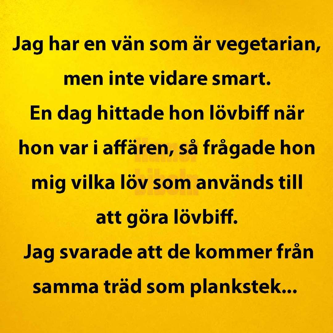 FB_IMG_1724694114429.jpg