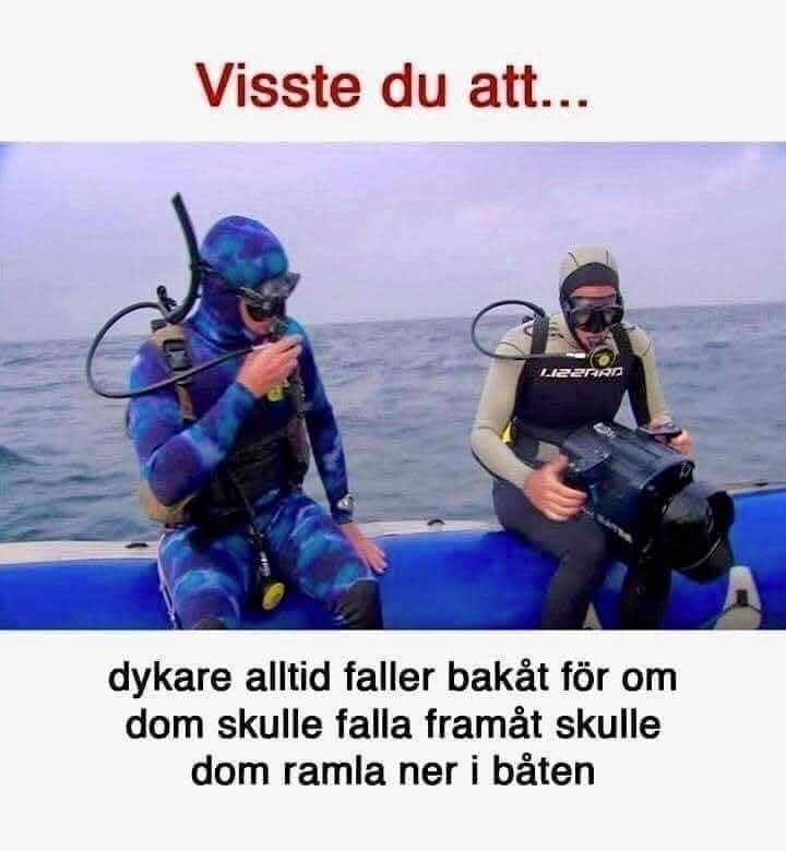 FB_IMG_1732904327940.jpg
