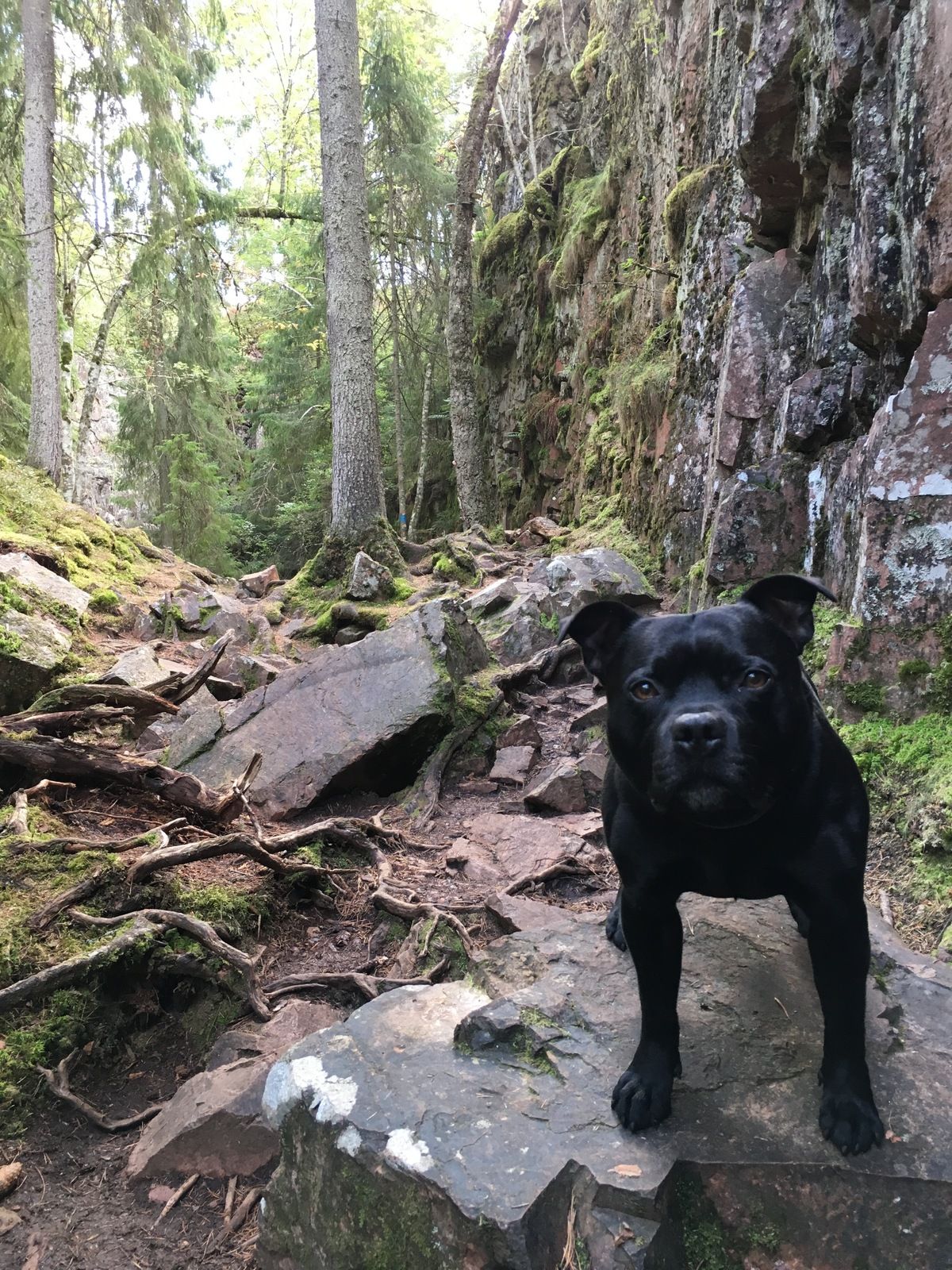 FEB4D342-617D-488E-8260-E638FDFBD337.jpeg