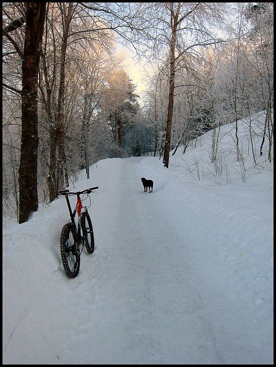 februarilunch3.jpg ht=725