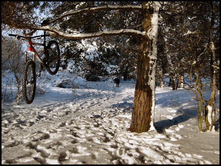 februarilunch5.jpg ht=546