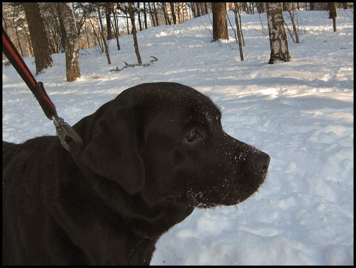 februarilunch7.jpg ht=546