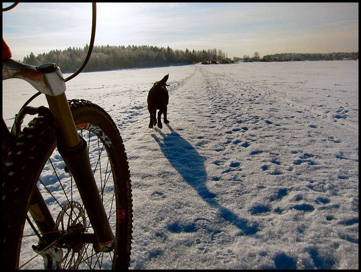 februarilunch8.jpg ht=546