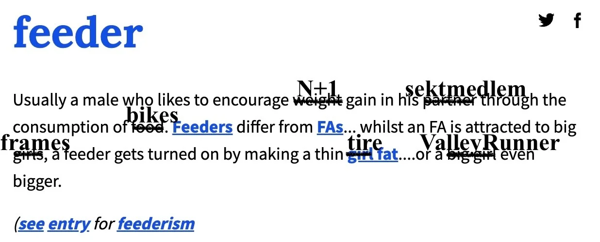 feeder - 1.webp