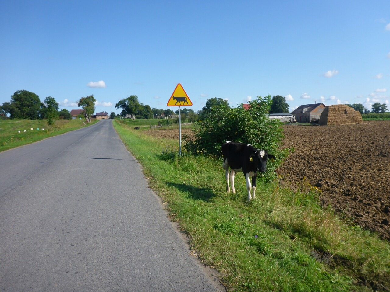 felsida.JPG