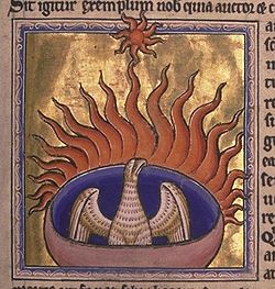Fenix.jpg ht=263