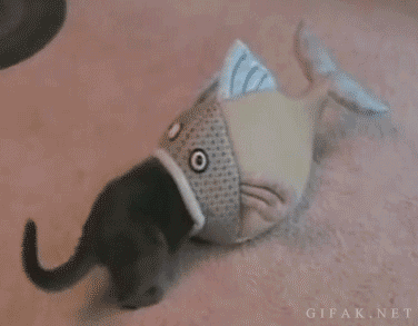 fish.gif