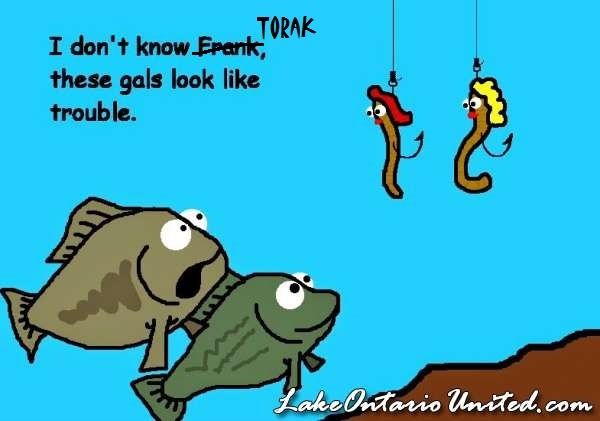 fishtorakje.jpg