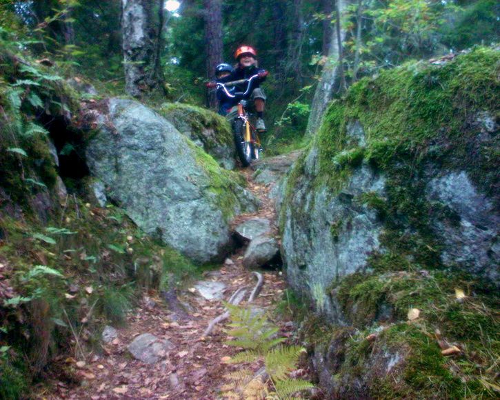 fjÃrdebrunnensbarn_filtered.jpg ht=580