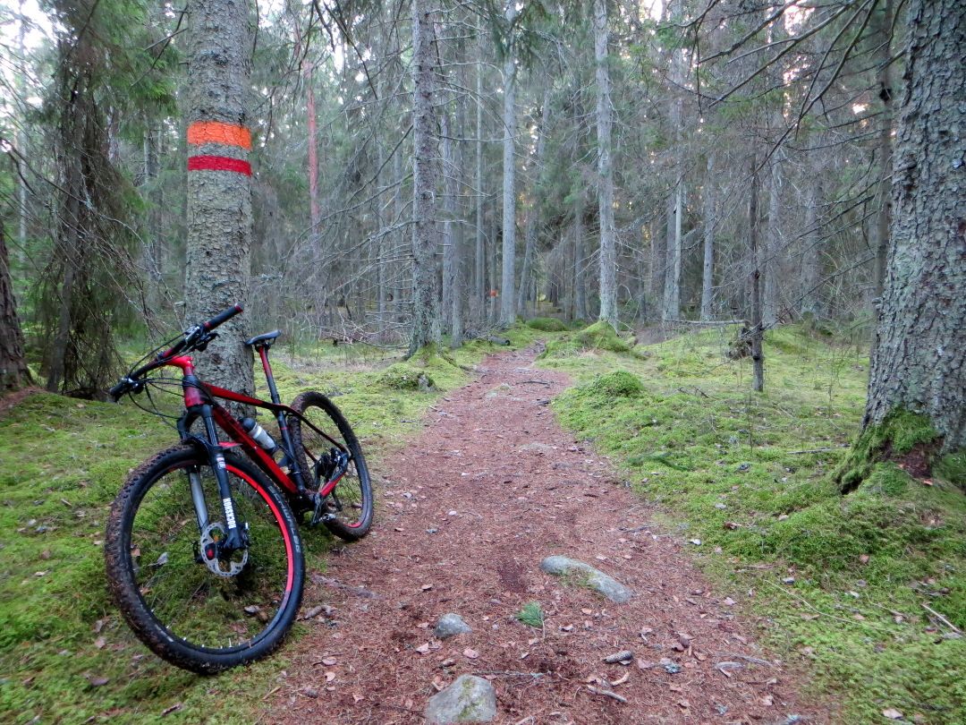 flaktan_trail.JPG