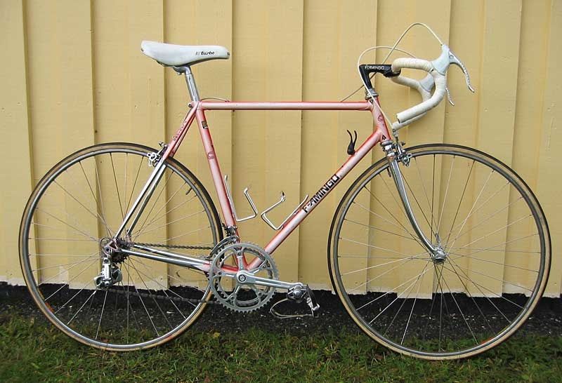 flamingo1.jpg
