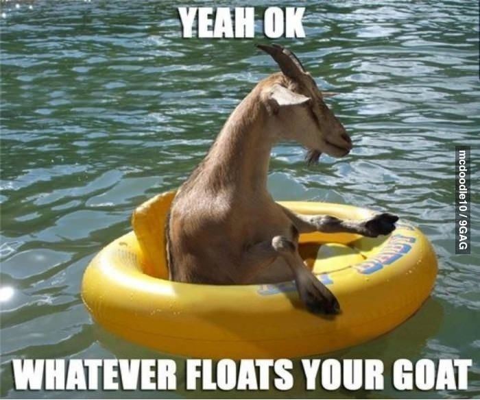 Floatinggoat.jpg