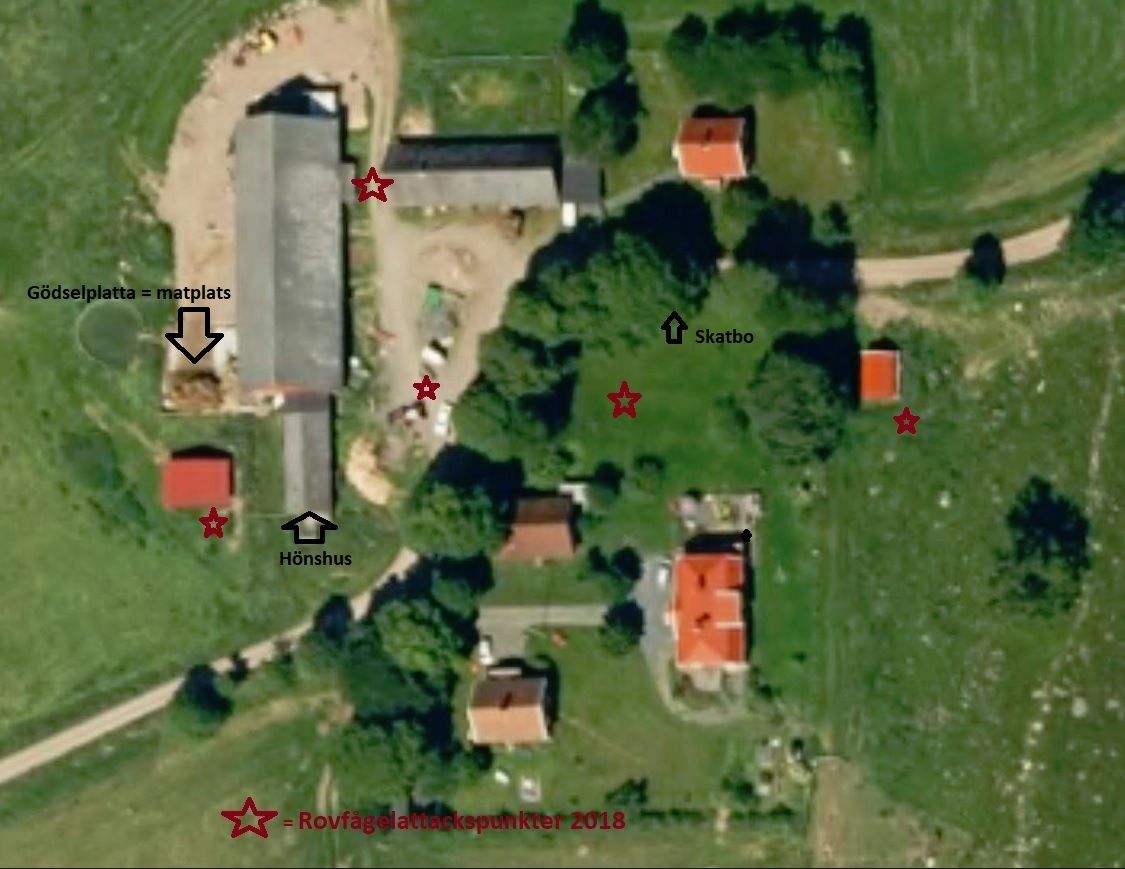 flygbild.jpg