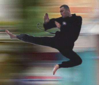 flying-ninja-big.gif ht=297