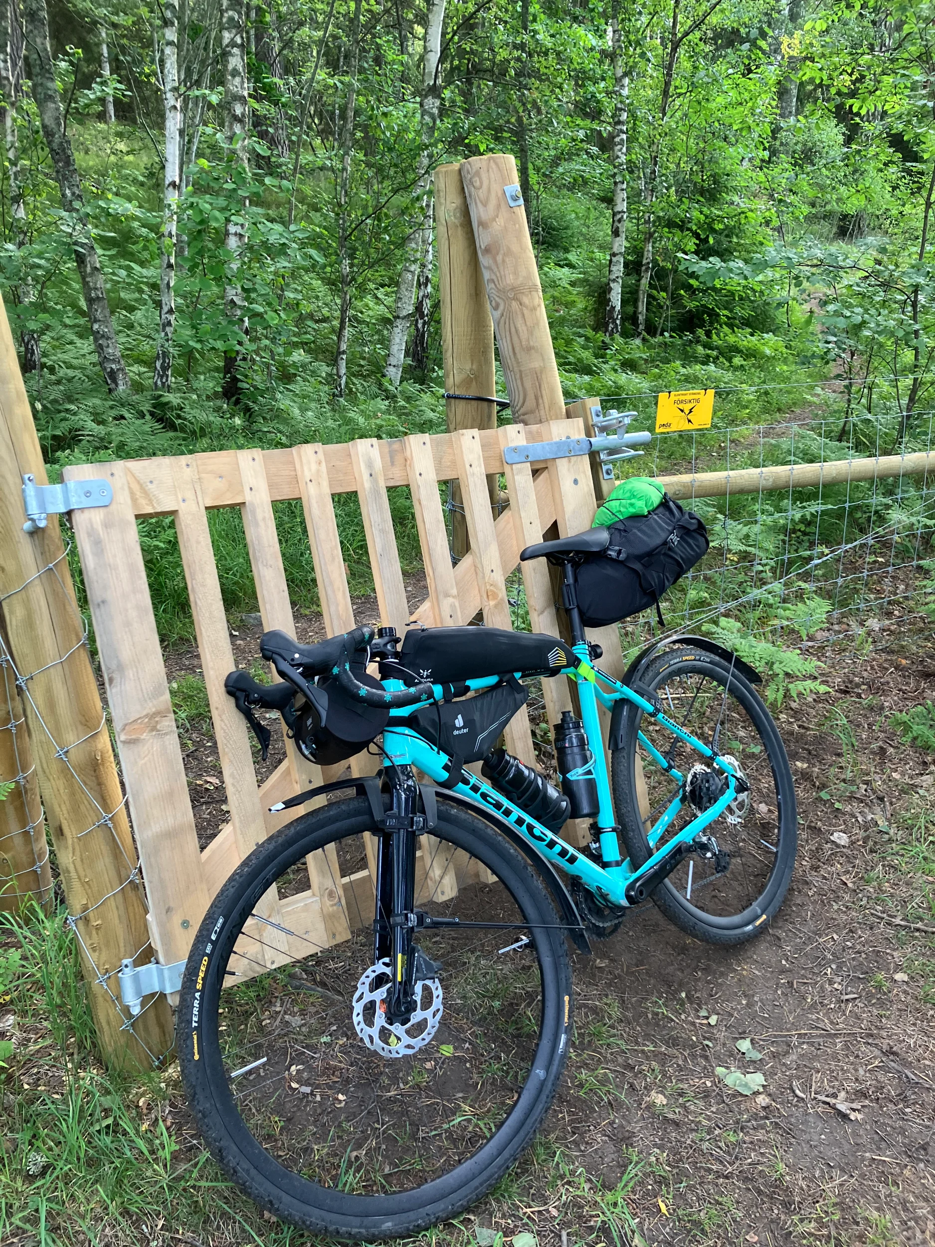 Foto 2025-07-07 07 45 47.webp