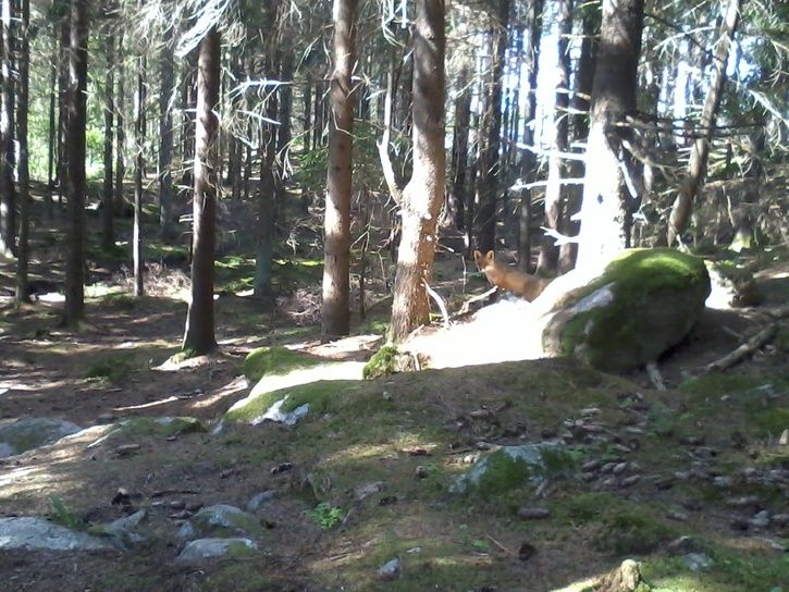 Foto0099.jpg