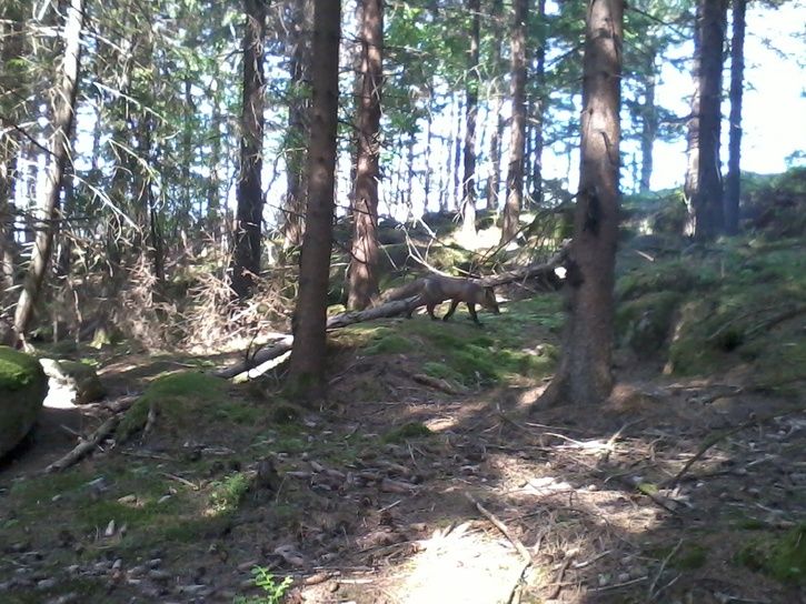 Foto0100.jpg
