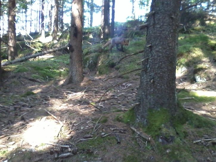 Foto0101.jpg