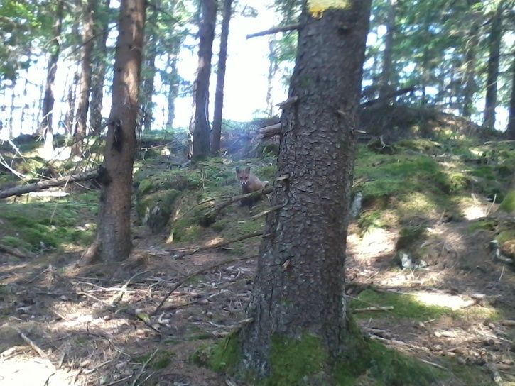 Foto0103.jpg