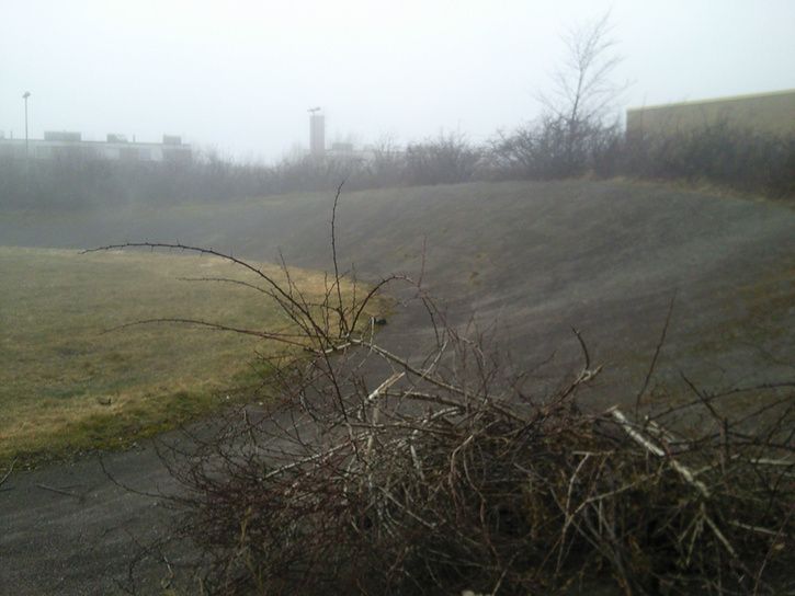 Foto0173.jpg ht=544